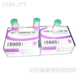 鄭州翰威畜牧科技 獸藥飼料火爆招商，賦能現代畜牧漁業新篇章