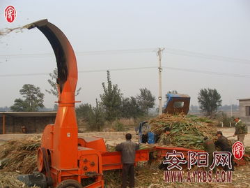 搶抓農時促轉化，市畜牧局多措并舉推廣秸稈青貯飼料助力畜牧漁業降本增效