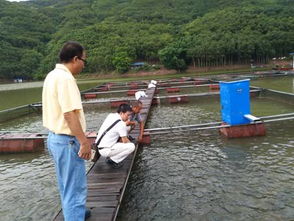 科技賦能促發展 云南省淡水漁業產業體系營養與飼料崗位團隊赴墨江專題調研